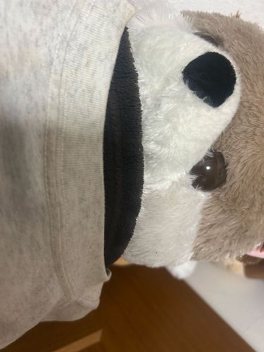 今日はお留守番🏠
飼い主さんは毎回毛布と一緒に寝巻きのTシャツもかけてくれるんだ🎵