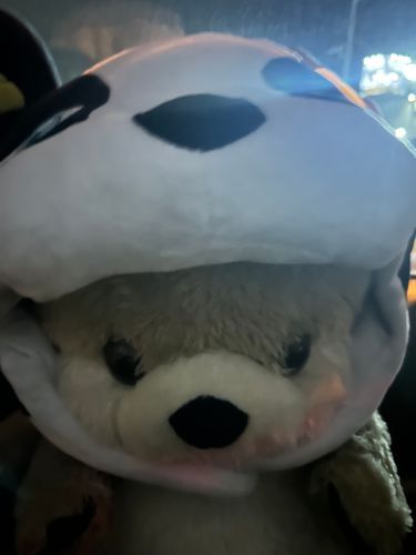 なんかつけられた、、なにこれ、、
でもかわいいって言ってもらえたから満足🫶🏻✨