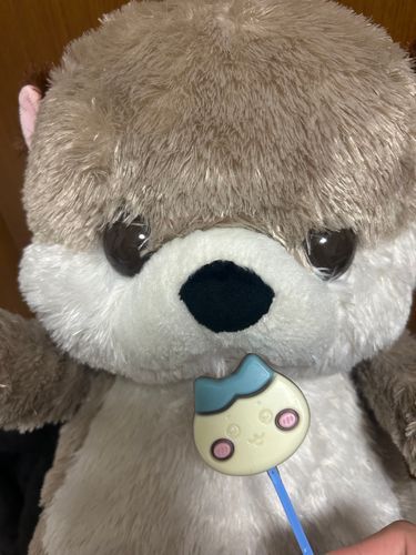 ちょこれーとおいしい️🩵🐱