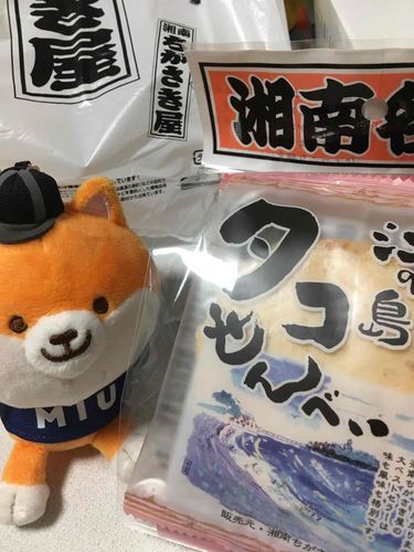 お土産を頂きましたぁ