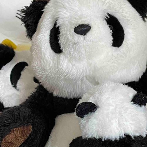ぱんだ先輩です。
おうちの中の1番おにいちゃんです。
かぞくのみんなの写真をのせます。

かぞく
🐼ぱんだ先輩 🐼ぱんこ 🐼わいぱー
🐻‍いけくまくん 🧸きゃのん 
🦦びっく🦦ちゃんぽん 🦦ちゃんこ 🦦🦦かわうそぶらざーず 🦦ぷりんせすかわうそ･ぷりかわちゃん 🦦おあげ
🐶あきたいーぬ 🐱あきたねっこ
🐹はらぺこくいしんぼうハムスターげん
🍤クオッカワラビーのえびまるちゃん