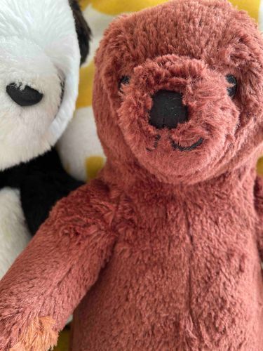 こんにちは！いけてるくまくん いけくまくんです。いけあのくまくんでも、あるよ。
おうちの人はお店で30ふんくらい迷って、いけくまくんをお家にさそってくれました。誕生日がいっしょなのが、うれしかったらしいです。
ぱんだ先輩といっしょにお家を守ってます。こまったことがあったら、いけくまくんが助けにいくからね。