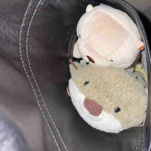 きのうは ぽけと のなか で おでかけ
びく たのしかた
さむかたけど ぶるり
ちゃんぽんも たのしかた て !!