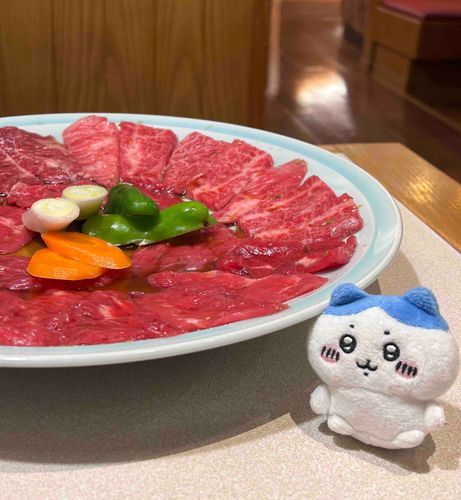 久しぶりに焼肉たべた( ◜ω◝و(وルン！
