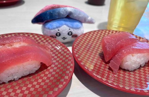 おすし🍣🍣
海鮮苦手でお寿司屋さん行っても唐揚げとか揚げ物ばっか食べてたけどどんどん少しずつ食べれるようになった😆
最近はマグロにハマってます(˶ᐢωᐢ˶)