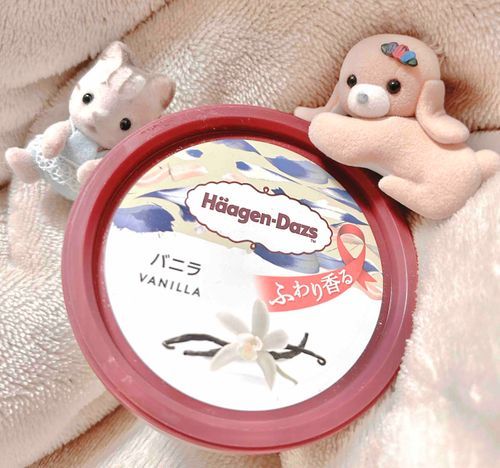 バニラすき˘- · -˘🍨🤍