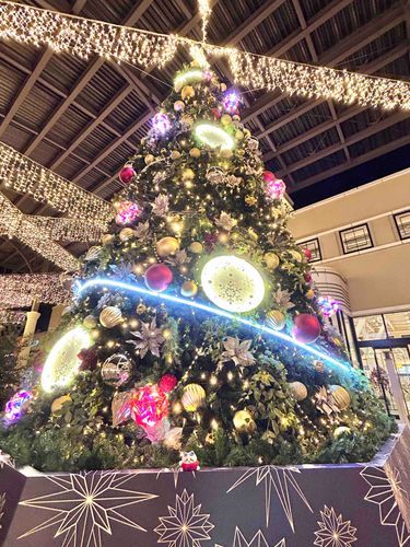🎄🎅