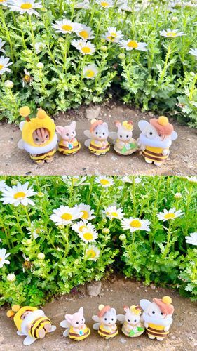 朝のおさんぽ
