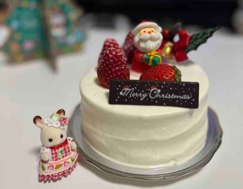 お久しぶりです🐰⸝꙳
クリスマスはケーキをたべました
少しずつまたのせていきます(^╷  ̫╷^)ﾉ