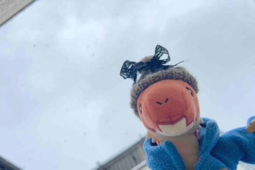 雪だよ⛄️
足先がちんちんするよ。さむいよ。