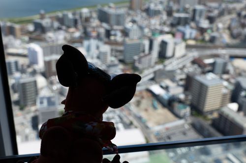 高〜い！