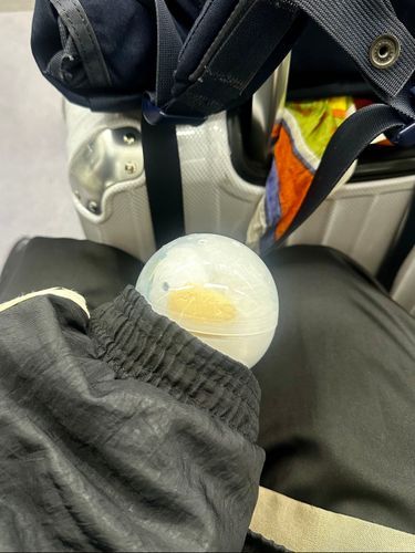 ぼくがうまれたひ。