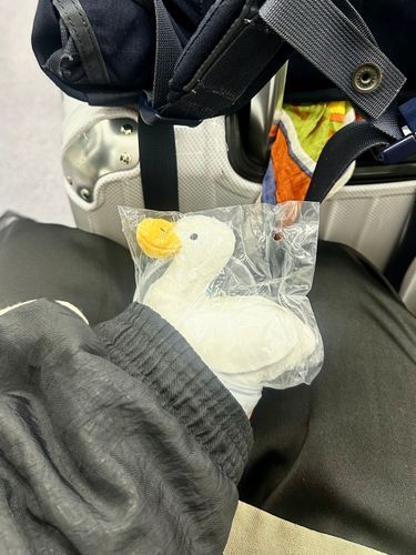 続・ぼくがうまれたひ。