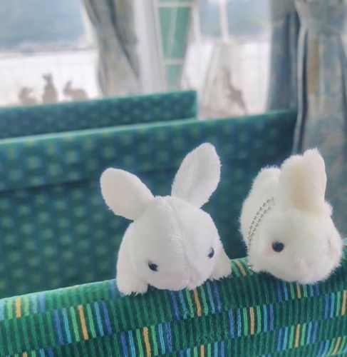 お姉ちゃんと🚢
