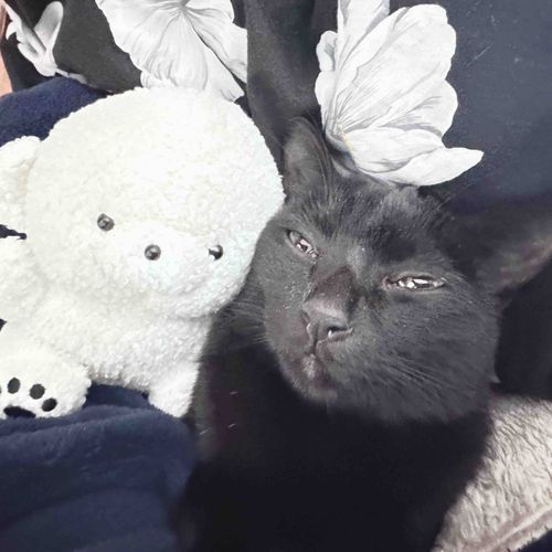 そいね