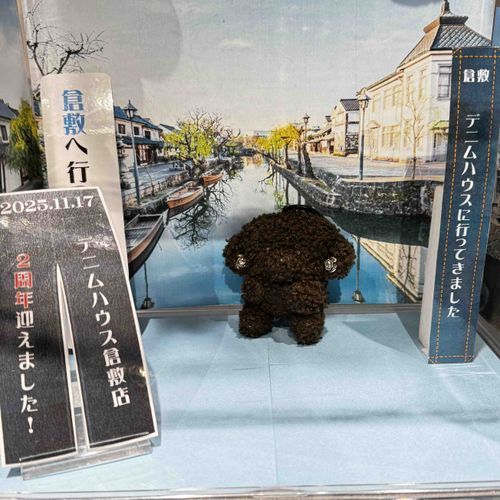 かんこう ぜ