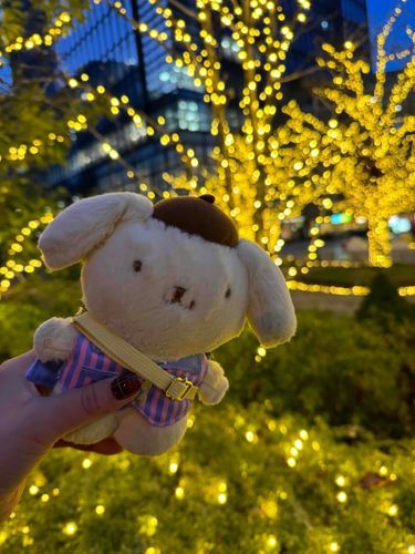 イルミネーションもみたんだ♪