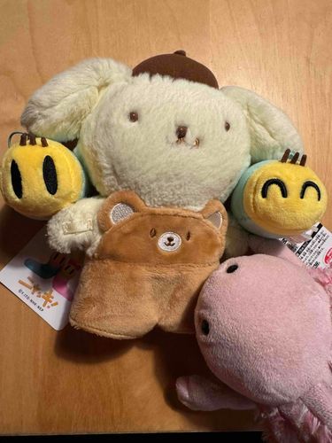 ぼーりんぐいってきたんだって