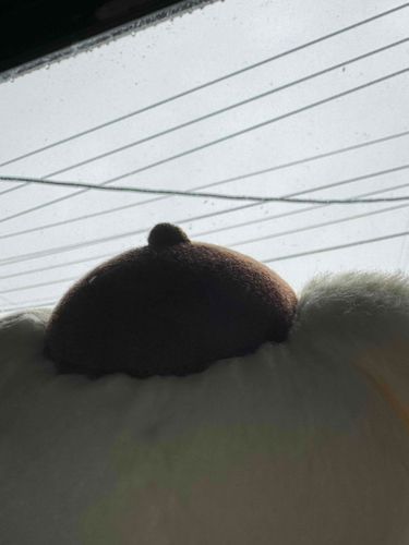 ゆきはじめて❄️
