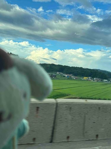 にじをみたよ