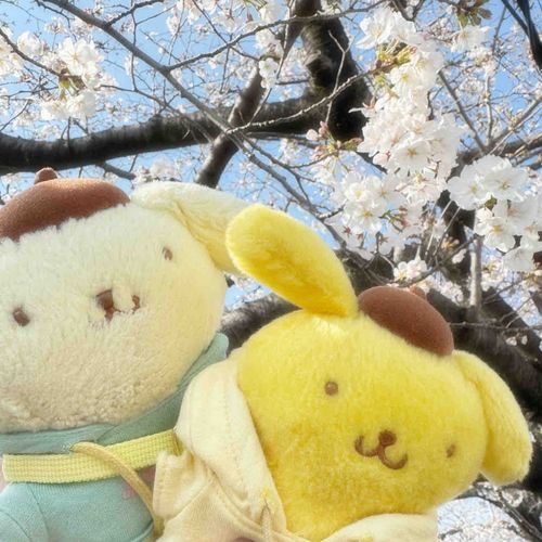 ことしもおはなみしたよ