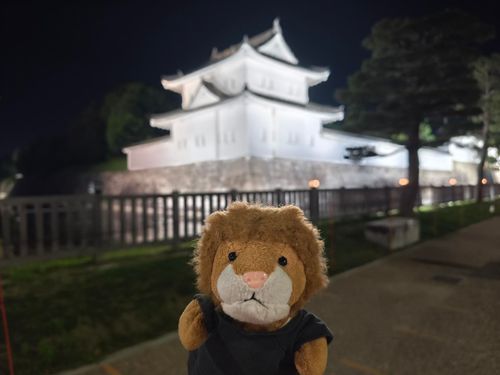 お城がライトアップされてたらいよ。昼間来たかったらい〜🏯