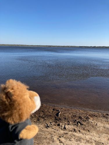 北の大地に行ってきたらいよ。ウトナイ湖の周りを散策したらいよ。
