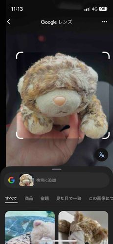 ぼく って どこから きたのかな ？
あちゃん に きく けど ちっちゃ なとき に おともだち なったから わかんない って 🤣
ぐるぐる れんず して もらった よ！