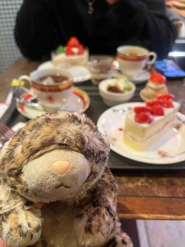みんなで こうべ に いった んだよ ！
けーにひす くろーね って おみせ に あちゃん つれてて くれた🧸 
ろーくん は 「こんなにたべられないよ…」て いてた けど あちゃん は なにも きにして なくて くいしんぼ さん だった よ 😅