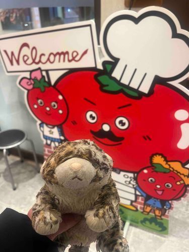 おうち の ちかく に あたらし の はんばぐやさん できたの 🍅🧅
おにく とっても じゅーしぃ で、おいしかったって あちゃん いってた😄

あぶら が あちち だから かんばん と おもいで ぢゅくり だねって いわれた😆