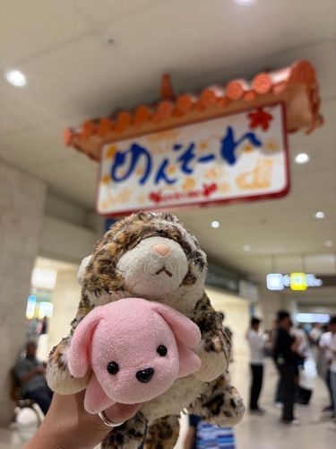 みんな で おきなわ いった よ 😆
たいようくん げんきで あちち だった😎☀️
じぇにふぁ は はぶ とり 🐍 に ちゃれんじ しよ と してたょ っょぃ だね 😟