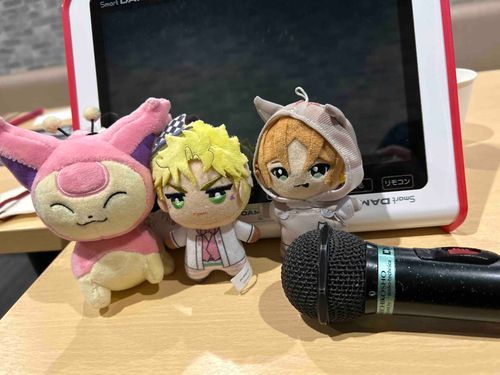 きょう は おともだち と りょこう に きてるよ 。
いまから からおけ ！ たのしいね 。