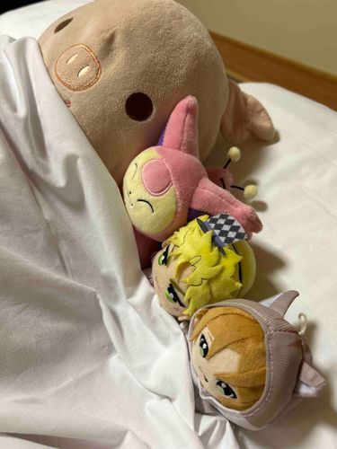 みんな で おやすみ 。

おく から だきまくら の ぶーぶ。
エネコ。
シーザーくん。
うらたさん。

おやすみなさい 🐑💤