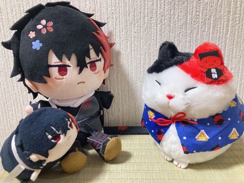 おれとおんなじ髪の色の猫🐈🐾
