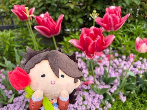 うちの本丸のんまほっぺむつ、花が好きなんだと

んまむつ「んまっ⸜🌷︎⸝」
