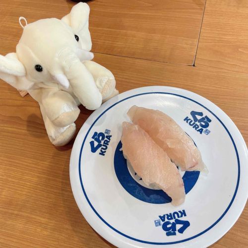 ぞうさん、これが　おすし　だよ