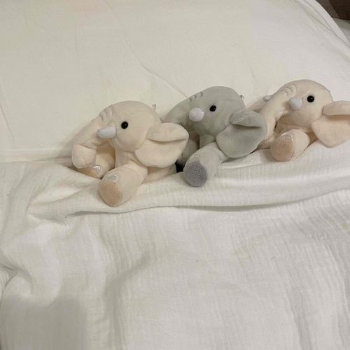 ぞうさん、きょうもがんばた　ね
おやすみ　ね