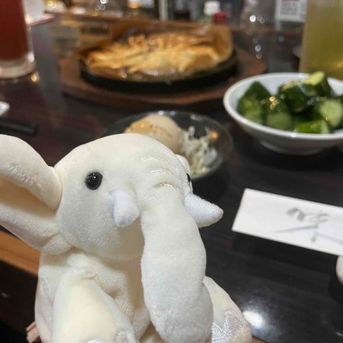 ぞうさん、居酒屋デビューだた　ね
ぎょうざ、おいしかた　ね
🥟