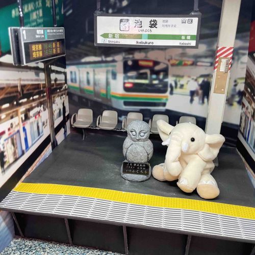 ぞうさん、たくさん歩いた　ね
またおでかけしよ　ね