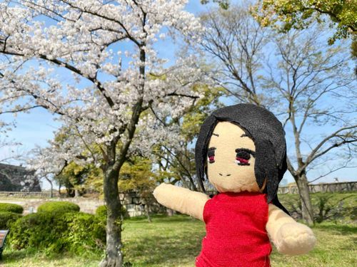 桜だよ！