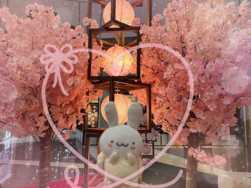 ショッピングセンターに
さくらが さいてたの🌸