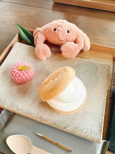 最中アイスをいただくやわらかいかに