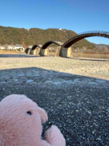 本日旅行の最終日
錦帯橋に行ったやわらかいかに