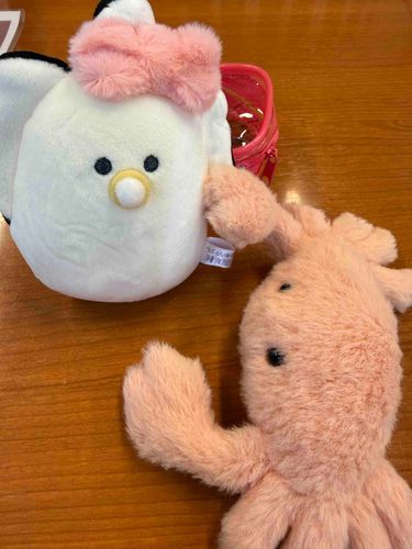 新しいお友達が出来たやわらかいかに