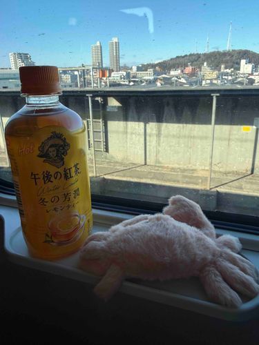 おはよなやわらかいかに