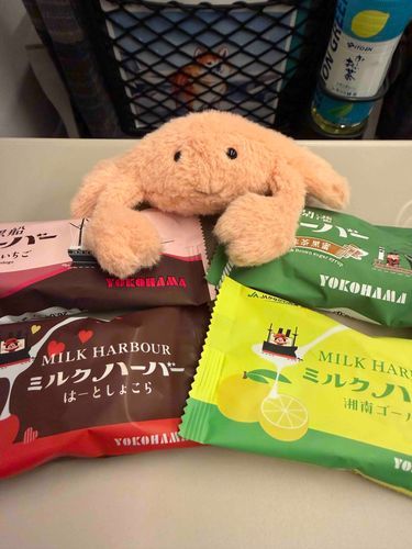 お菓子パーティをしたやわらかいかに