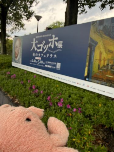 大ゴッホ展に来たやわらかいかに