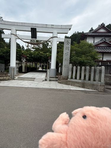 金蛇水神社に行ったやわらかいかに