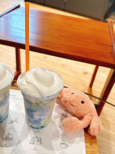 コラボドリンクをいただくやわらかいかに