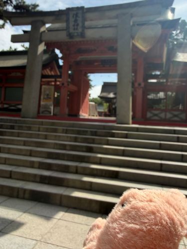 住吉大社に行ったやわらかいかに
